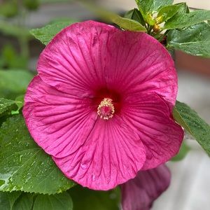 Meet your Posher, Kaitlin